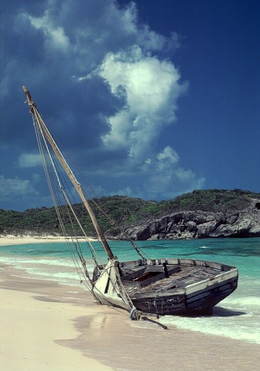 Click to See Next Image